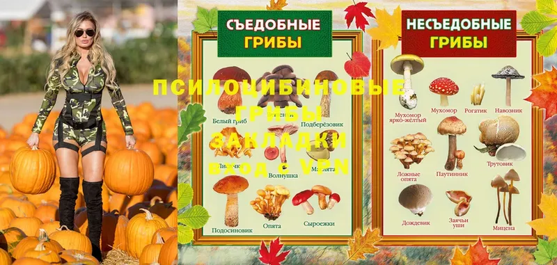 закладка  МЕГА сайт  Галлюциногенные грибы Psilocybe  Почеп 