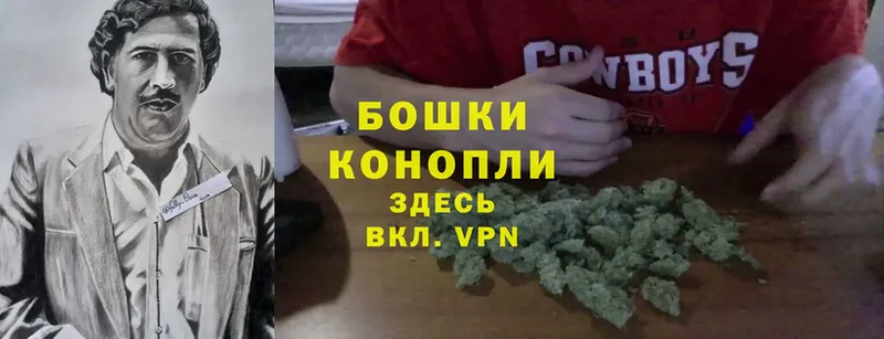 Бошки марихуана White Widow  Почеп 